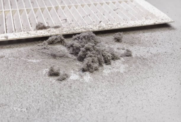Best Affordable Air Duct Cleaning  in Gas City, IN