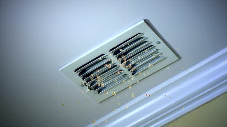 Best Duct Cleaning for Homes  in Gas City, IN